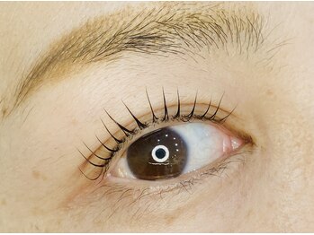 プルメリア(Plumeria)/