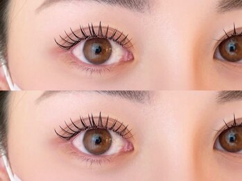 エイシェルの写真/特別な日に、あなたの目元を華やかに。特別な瞬間をもっと輝かせる、理想のまつ毛を手に入れましょう♪