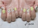 SEASONALベーシック