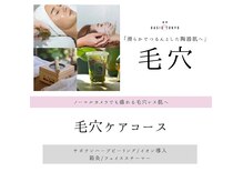 ネオオアシス トウキョウ(ネオOASIS TOKYO)の雰囲気（滑らかでつるんとした陶器肌へ《毛穴ケア/ハーブピーリング》）