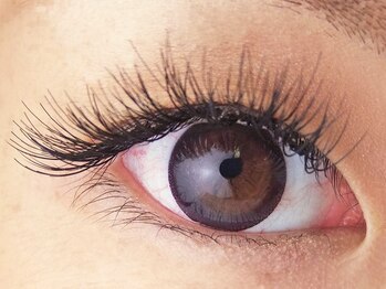 アキュート エ/ボリュームラッシュ