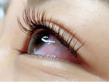 ウルカ アイラッシュ(uruka EYELASH)/フラットラッシュブラウン 120本