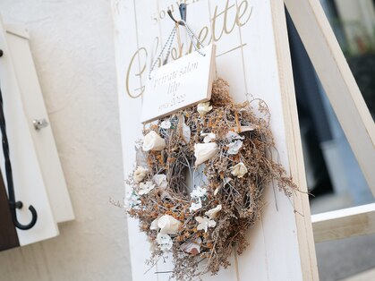 リリー(lily)の写真