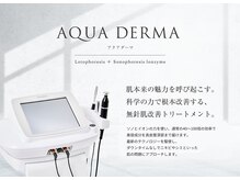 ロイズ(LOYS)/アクアダーマ