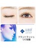 【平日300円割引】　　【LED】フラット つけ放題　オフ無料