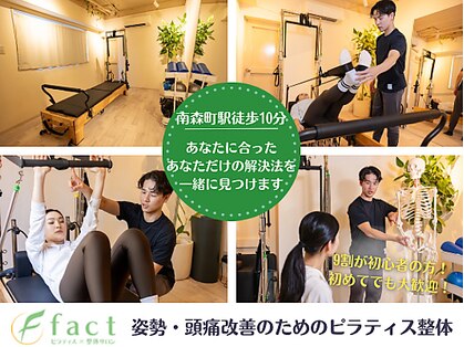 ファクト(fact)の写真