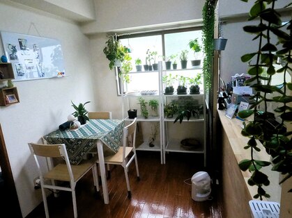 バオバブ(BAOBABU)の写真