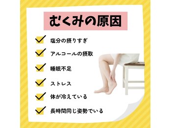 ヨサパーク マンモムー(YOSA PARK manmo-mu)/