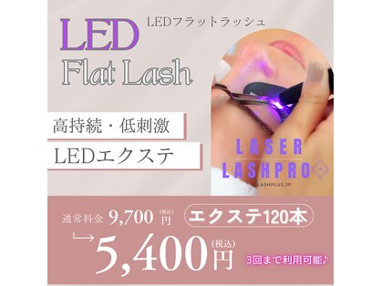 ベル(Belle)の写真
