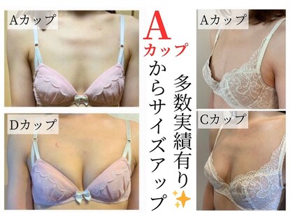 美人バスト 浦和店の写真