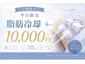 【ご新規様平日限定】脂肪冷却4カップ★初めての脂肪冷却にオススメ