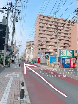 イリス(Iris)/【道案内5】花壇に気をつけて！