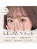 【1人1回限定】軽量×高持続◎ LED Wフラット50束 ￥7500