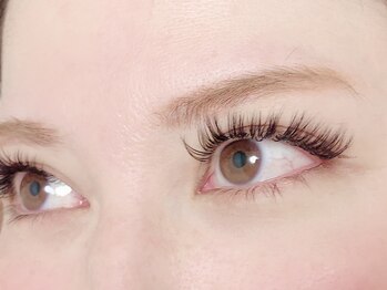 エイト オオブ(EIGHT OBU)/ボリュームラッシュ