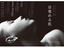 テラ エステ リラクゼーション(Te ra)/マイクロニードルピーリング