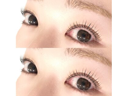 ラシック(Lachic)の写真