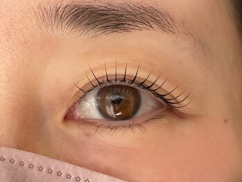 ニニ(Nini)の写真/まつ毛のお悩みがあっても、自然で美しい目元が手に入ります！モチの良さに定評のあるLEDまつエク導入◎