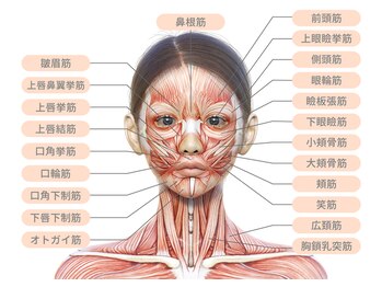 ウーマンズデザイン(WOMAN's DESIGN)の写真/【骨と膜から美を再構築】独自の全身膜リリース×頭蓋骨仙骨矯正で、お顔と身体の歪みを土台から整える。