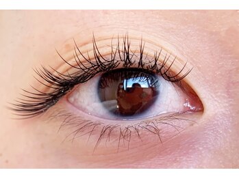 テイラー(Taylor)/140本　SATO