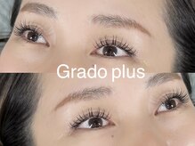 グラードプラス(Grado plus)/バインドフラット60束