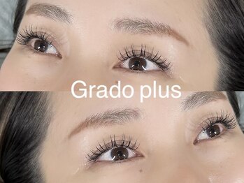 グラードプラス(Grado plus)/バインドフラット60束