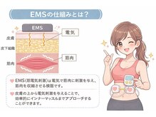 エトワール(etoile)/EMSとは？