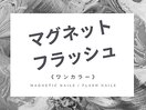 マグネットorフラッシュ