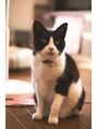 ローズ(ROSE)&nbsp;猫ちゃん3匹飼っています。