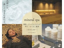 ミネラルスパ バイ アラシノユ(mineral spa by arashi no yu)