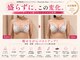 ナリッシュバスト(Nouriche Bust)の写真