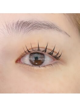 ホワイトカメリア 難波心斎橋店(WhiteCamellia)/まつ毛パーマ/マツエクサロン