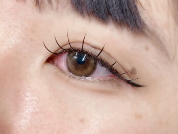 ドールネイル(DOLL NAIL)/140本束感コーティング