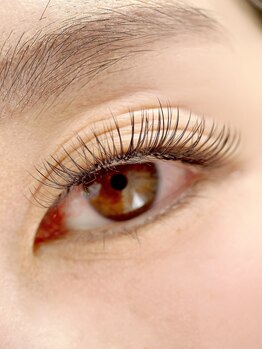 ムニ(muni)/LEDボリュームラッシュ100束