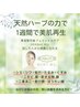 【毛穴/シミ/シワ/ニキビケア】肌質改善ハーバルシ-¥23000～【男女可】