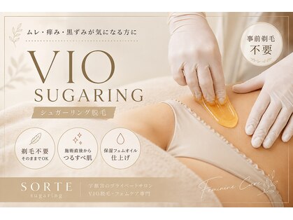 ソルテシュガーリング(SORTE sugaring)の写真