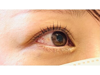 ベル アルブル(bel arbre)/まつ毛パーマ立ち上げスタイル