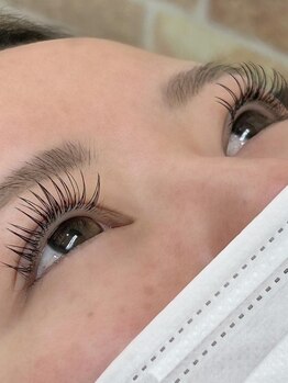 プリズム(Prism)/ LEDフラットラッシュ