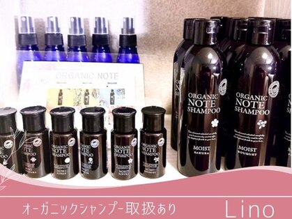 リノ(Lino)の写真