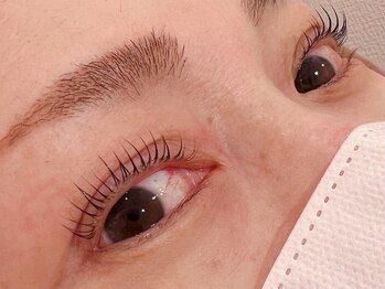 ルコル(Lecoeur)/パリジェンヌラッシュリフト