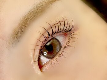 ネオリーブ モカ 川崎チネチッタ店(Neolive mocca & eyelash)/ラッシュリフト　
