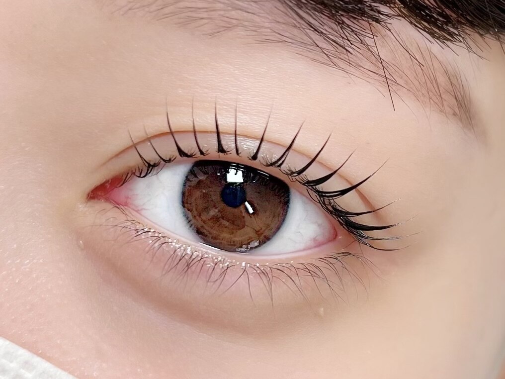 つけマツエク ❁オーダー受付中❁ L𝗖𝗨𝗥𝗟 design🥨10.11月ご予約受付中 根元からぱっちり