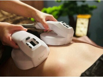 ザ ラウラ ビューティー ボディ(THE LAULA BEAUTY)/寝ながら筋トレ♪マグニート