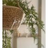 ポポラス(POPOLUS.)のお店ロゴ