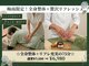 ほぐす蔵の写真