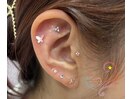 耳つぼジュエリー【12粒】