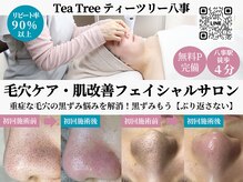 ティーツリー(Tea Tree)