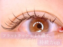 タイトプラス(tyto+)/バインドロック80束