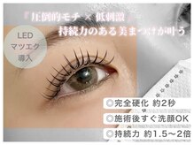 ドリームシャイニー 本八幡店(Dream Shiny)