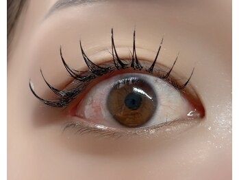 ルチア 高田馬場/フラットラッシュ140本