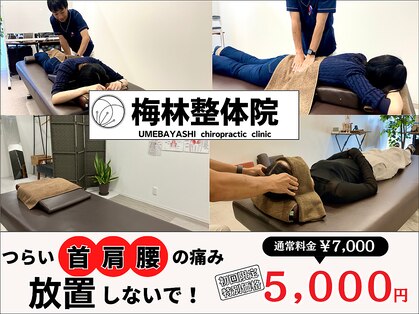 梅林整体院の写真